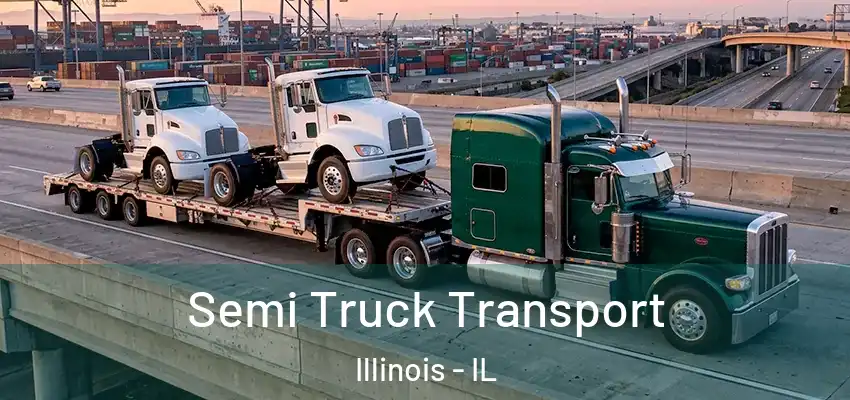  Semi Truck Transport Illinois - IL